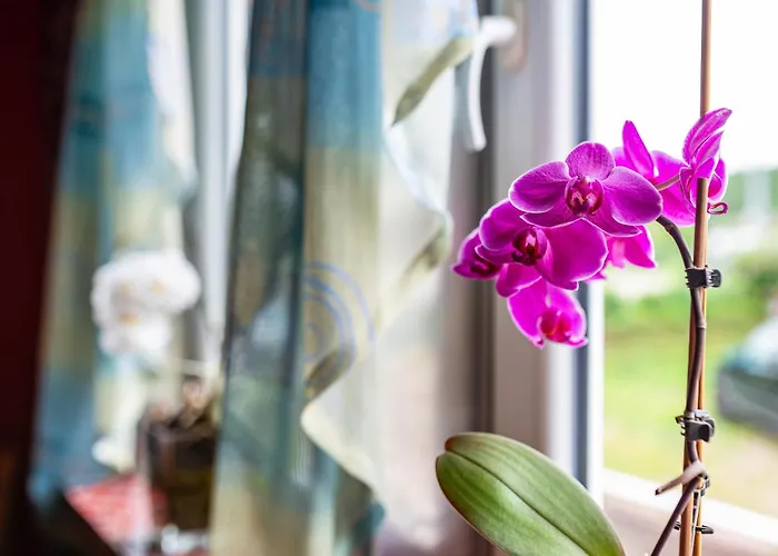 Ferienhaus Bei Den Holzäppeln *